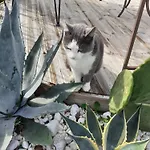 L'air D'antan Couette-café Bias (Lot-et-Garonne)